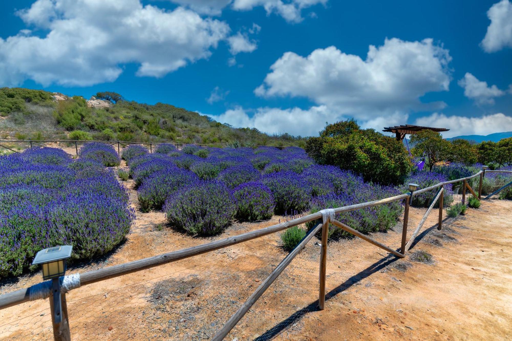 Brisa Del Valle Boutique Hotel